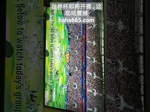 維埃拉榮耀,引領,前阿森納球,火狐体育官网,HuoHu,SPORTS,火狐体育中国官网,HuoHu体育平台,火狐体育服务